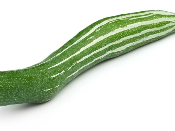 3. పొట్లకాయ