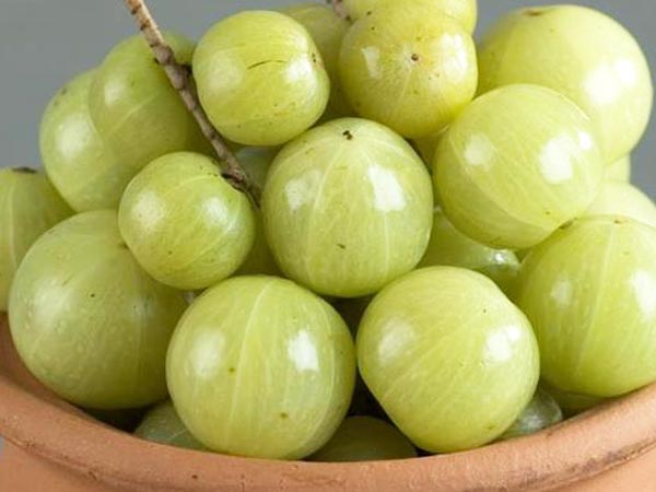 ఉసిరికాయ పొడితో జుట్టు సంరక్షణ