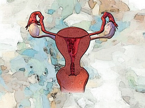Genital Tb Could It Affect Your Fertility
