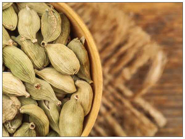 దీర్ఘాయువు రహస్యం