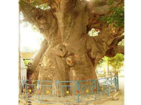 పాండవుల బహిష్కరణ