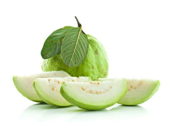 ఔషధ ఆకు