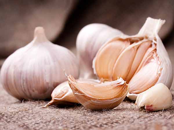 వెల్లుల్లి