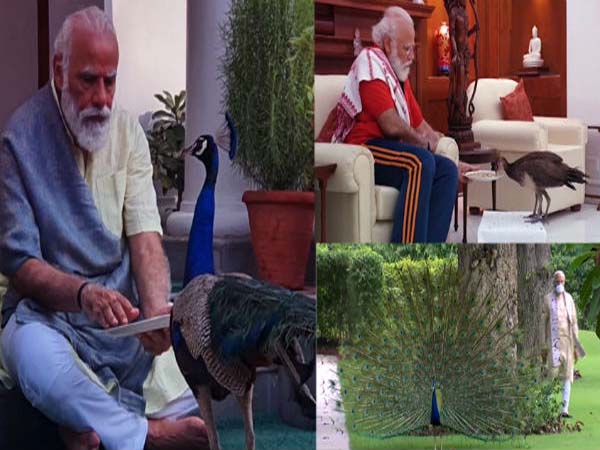 ఒక అమెరికన్ విద్యార్థిగా!