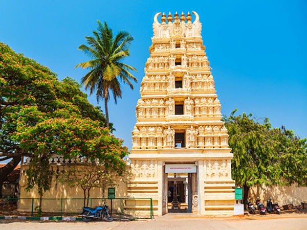 తినుబండారాలను తీసుకుని..