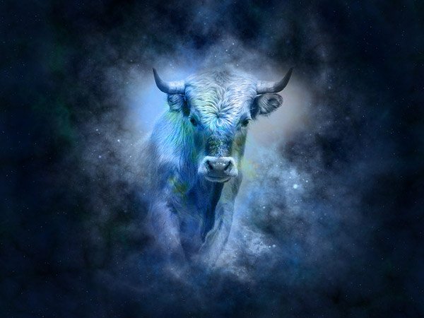 వృషభరాశి : ఏప్రిల్ 20 - మే 20