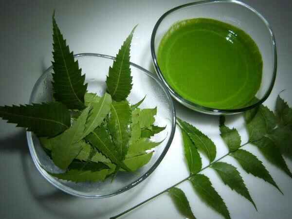 వేప నూనె