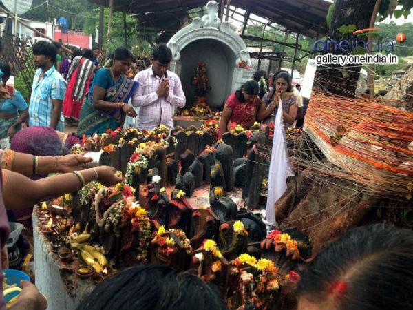 భూసారాన్ని కాపాడే ప్రాణులు..