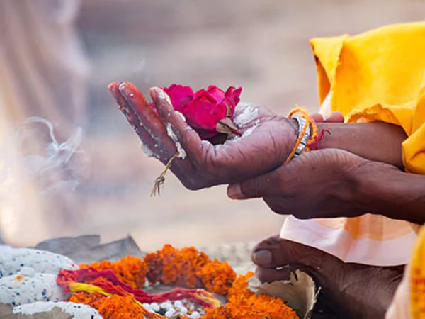 పక్షి జాతికి ఆహారం..