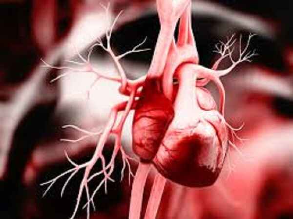 కోవిడ్ -19 మరియు గుండె ఆరోగ్యం