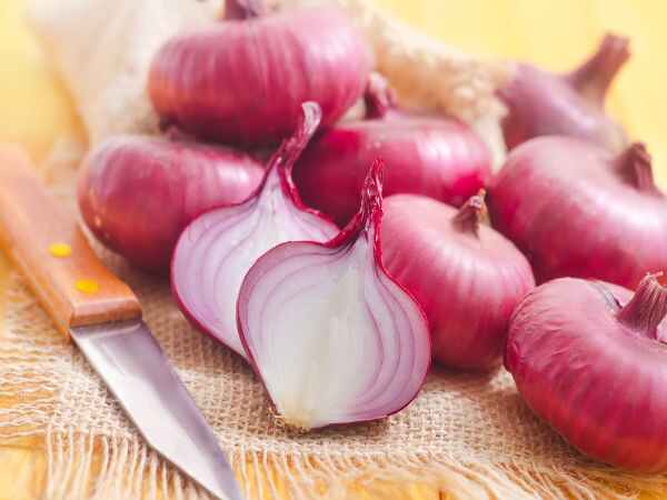 ఉల్లిపాయలు