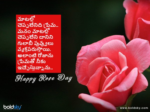 మాటల్లో చెప్పలేనిది ప్రేమ..