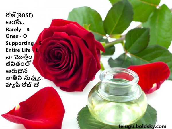 రోజ్(ROSE)అంటే..