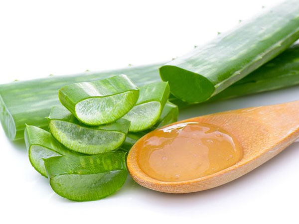 కలబంద జెల్