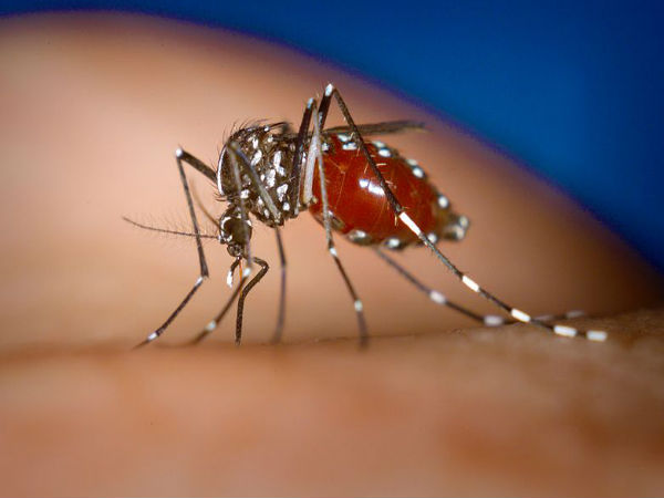 వ్యాప్తిలో ఇతర పద్ధతులు