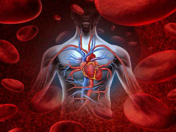 రెండవ దశలో ఎవరు ఎక్కువగా ప్రభావితమవుతారు?