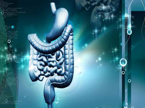 జీర్ణక్రియ మృదువైనది