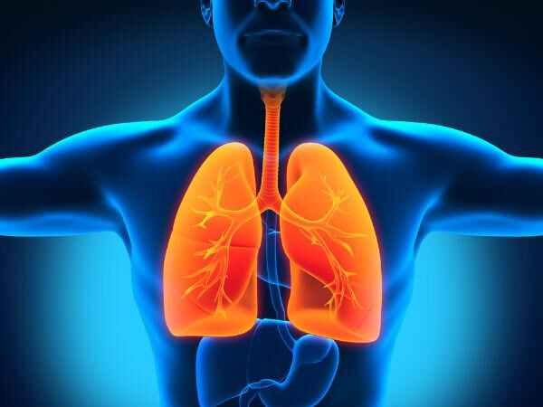 ఊపిరితిత్తుల పనితీరును మెరుగుపరుస్తుంది