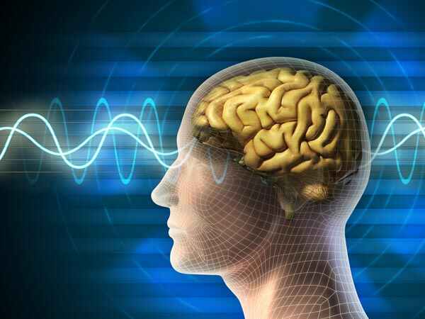 నాడీ ఆరోగ్యం