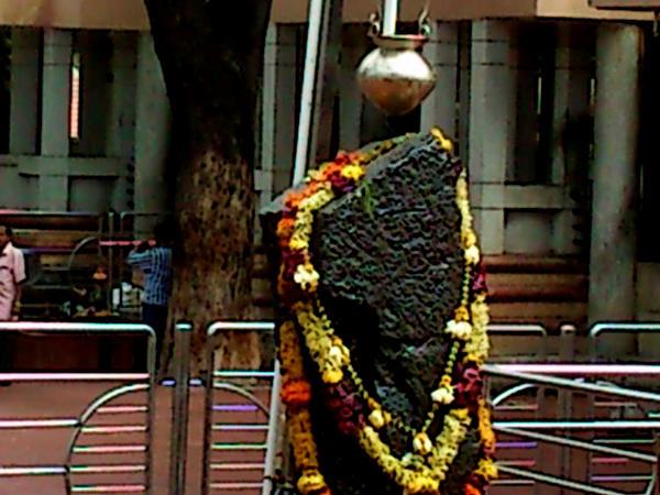 శనివారం 2021; శుభాకాంక్షలు మరియు సందేశాలు