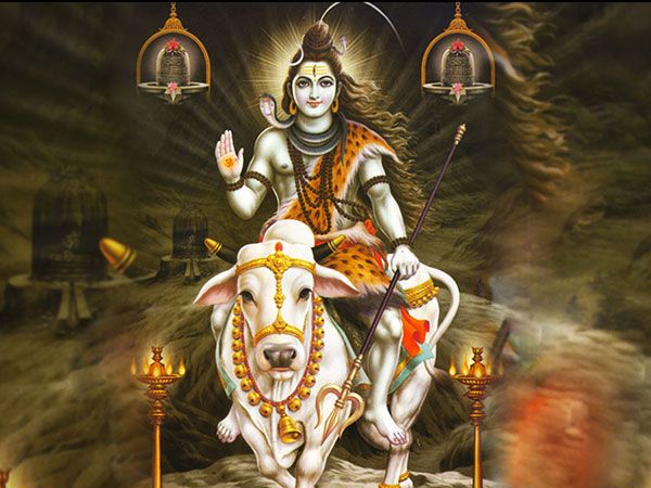పండుగ వాతావరణం..
