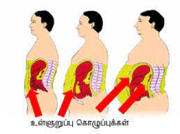విసెరల్ కొవ్వు