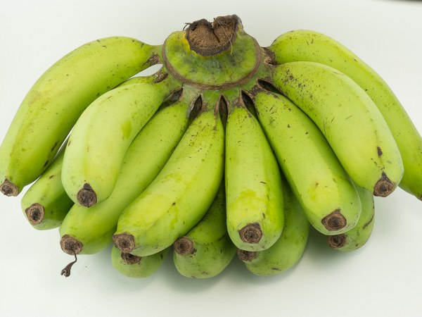 ఫలితాలు