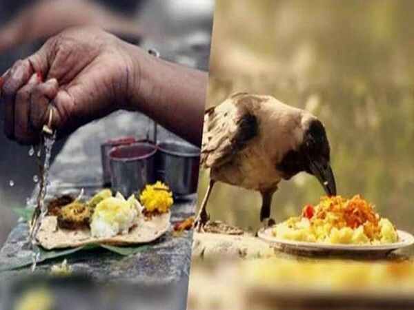 అమావాస్య శ్రాద్ధా ముహూర్తం