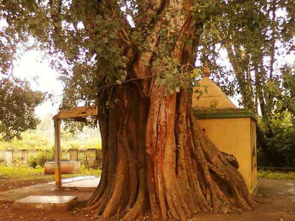 ఇతర పరిష్కారాలు