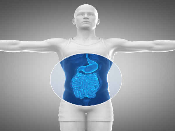 Facts To Know About Large Intestine And Rectal Cancer