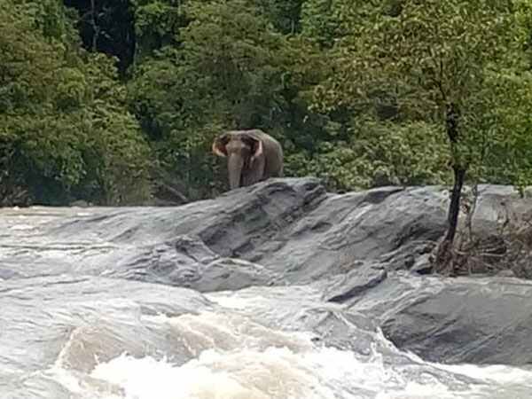 ప్రవహించే నీరు