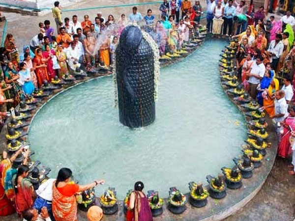 ఉసిరి చెట్టు గాలి వల్ల..