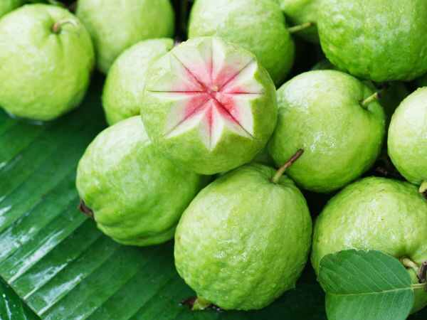 జామ పండులో పోషణ