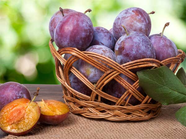 రేగు పండ్లు