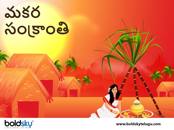 ఆనందాల సంక్రాంతి..
