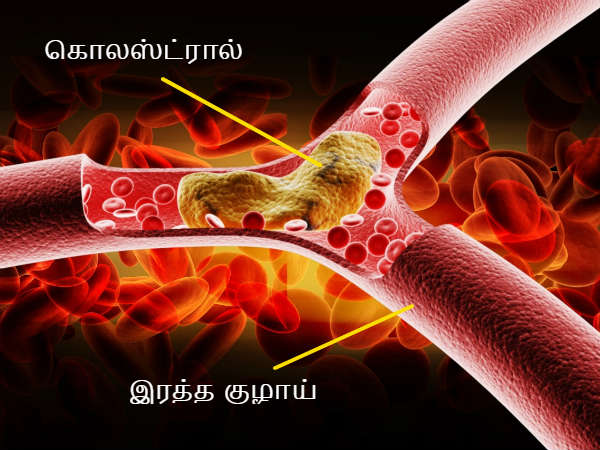 కొలెస్ట్రాల్ స్థాయిలు