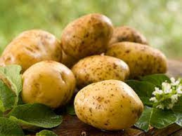 బంగాళదుంపలు