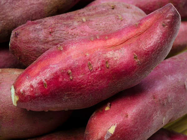 స్వీట్ పొటాటో