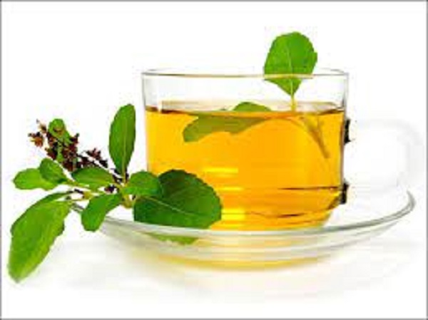 Tulsi Water Benefits: Tulsi water is very beneficial for health! You will be surprised to know!