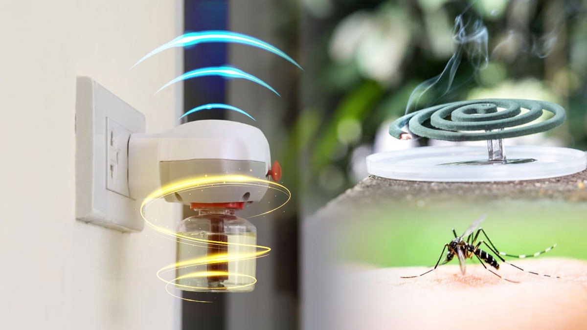 Mosquito Coil effect on health ఈ ఒక కాయిల్ 100 సిగరెట్ల కంటే ప్రమాదకరం