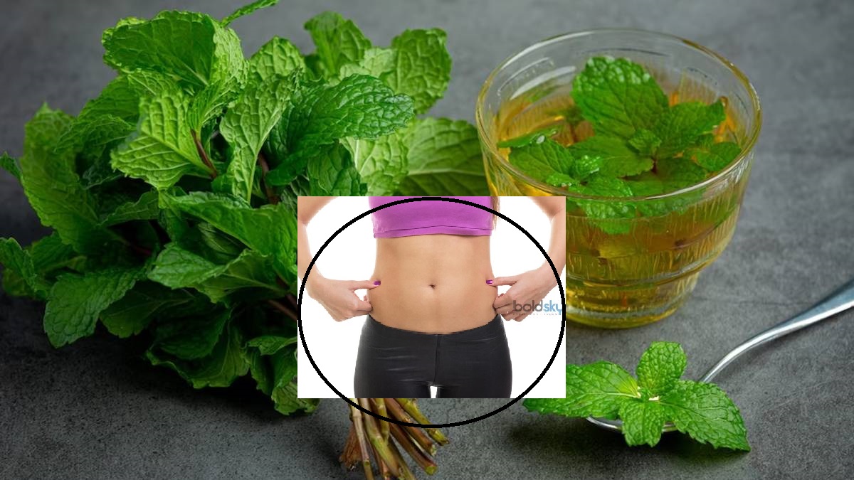 Peppermint Tea for Weight Loss పొట్ట కొవ్వు తగ్గడానికి పిప్పరమెంటు టీ
