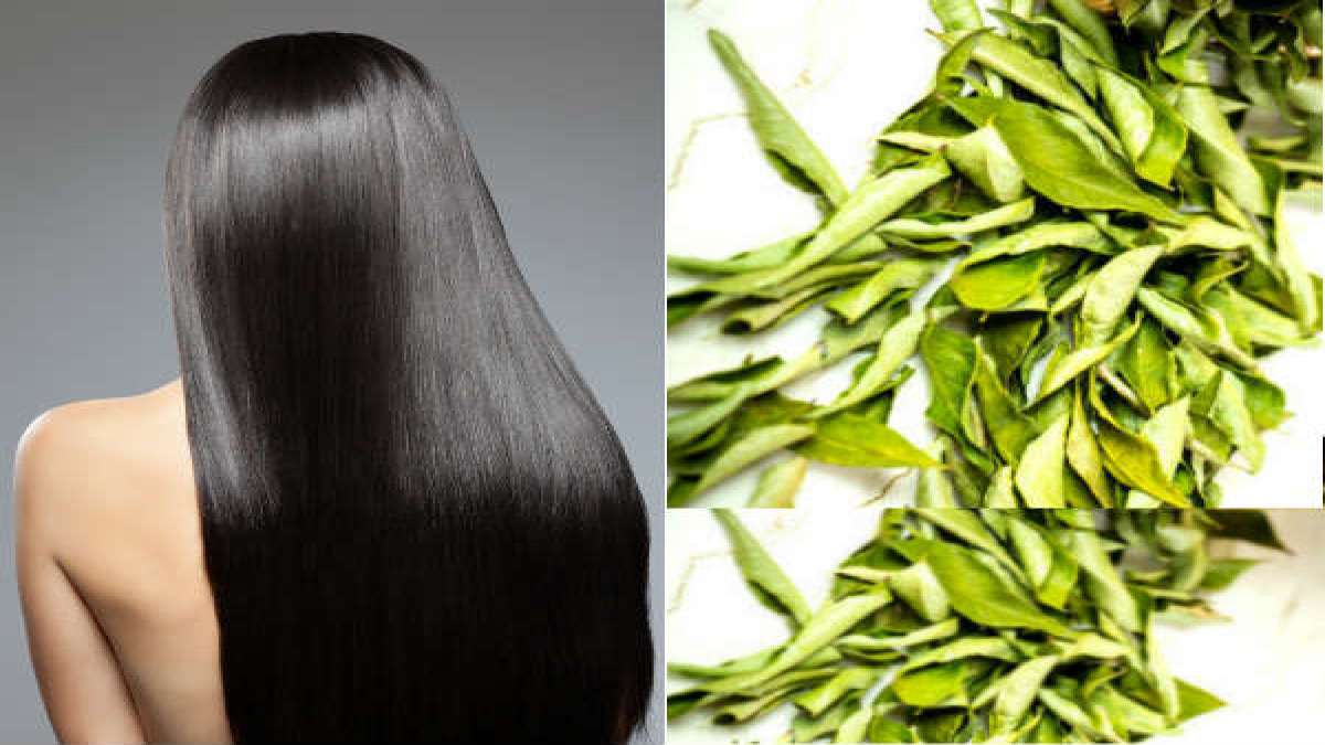 How To Use Curry Leaves For Hair Fall Prevention To Control Premature Greying Hair In Telugu