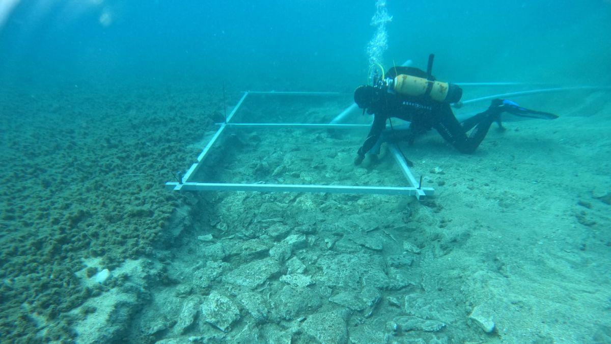 Seven Thousand Year Old Road Discovered Under Mediterranean Sea Details In Telugu