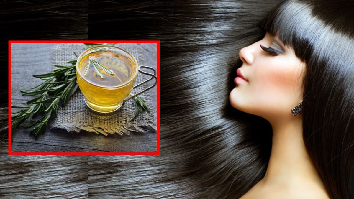Rosemary For Hair బలమైన, పొడవైన జుట్టు కావాలా? రోజ్‌మేరీ ఇలా వాడితే