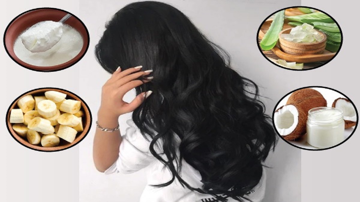 చుండ్రుతో హెయిర్ ఫాల్, డ్యామేజ్ అయిన జుట్టును రక్షించడానికి ఇవి ప్రయత్నించండి... Homemade Hair