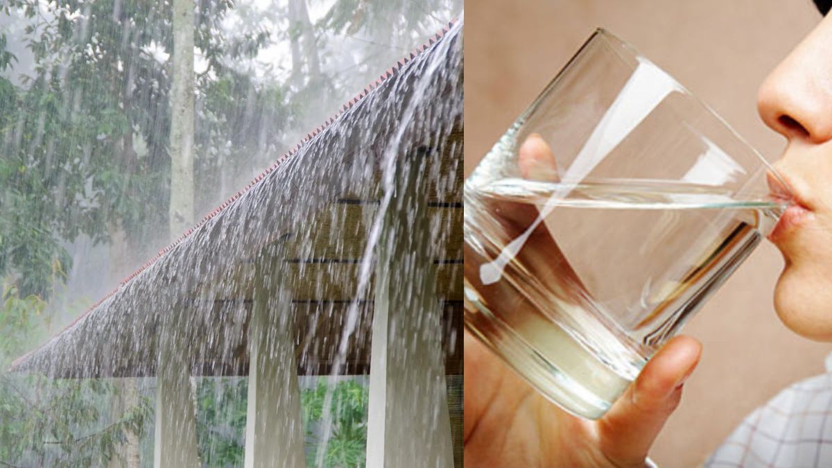 వాన నీటిని తాగొచ్చా? వైద్యులు ఏం చెబుతున్నారో తెలుసుకోండి Does Rain
