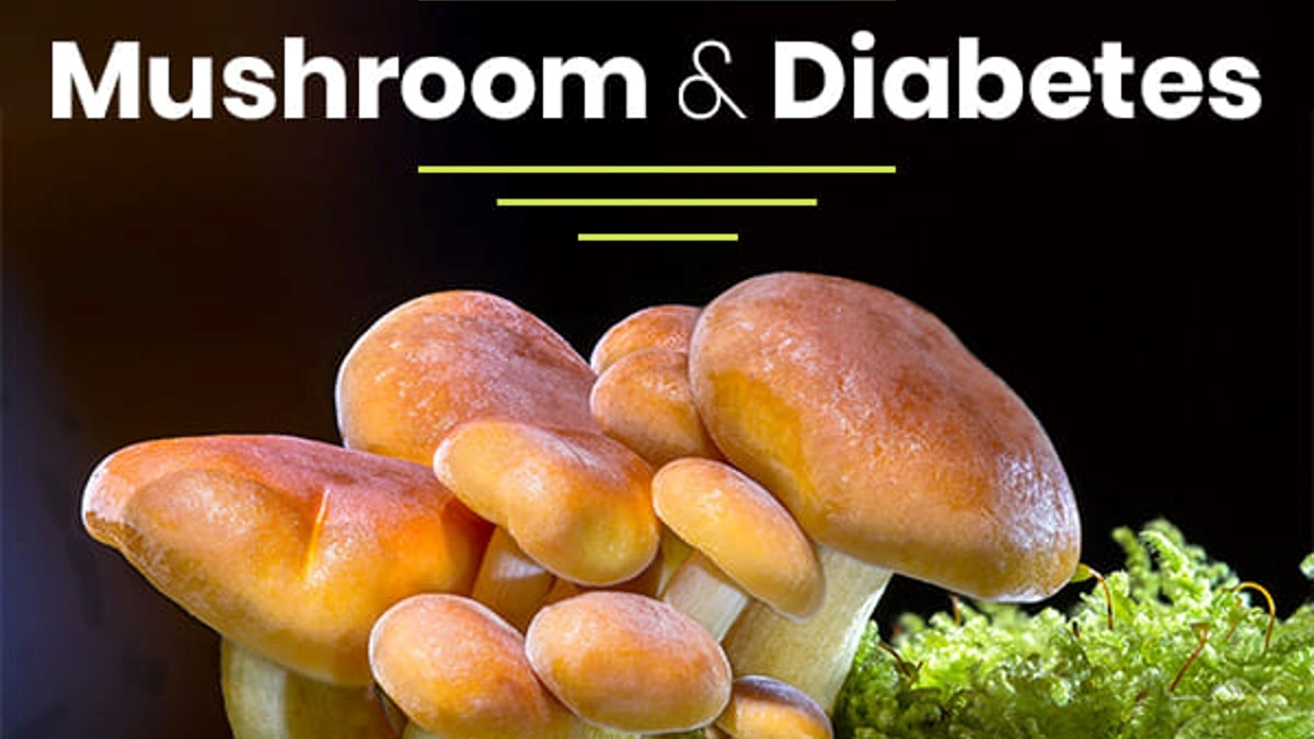 Mushroom For Diabetes పుట్టగొడుగులను క్రమం తప్పకుండా తీసుకోవడం వల్ల