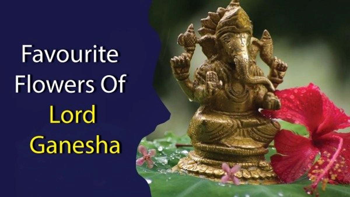 Ganesh Chaturthi 2023 Favourite Flowers Of Lord Ganesha