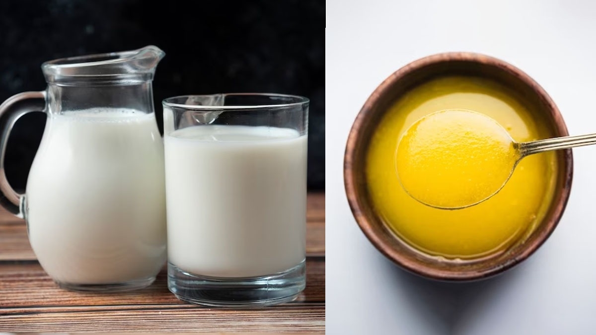 Health Benefits Of Drinking Warm Milk With Ghee In Telugu