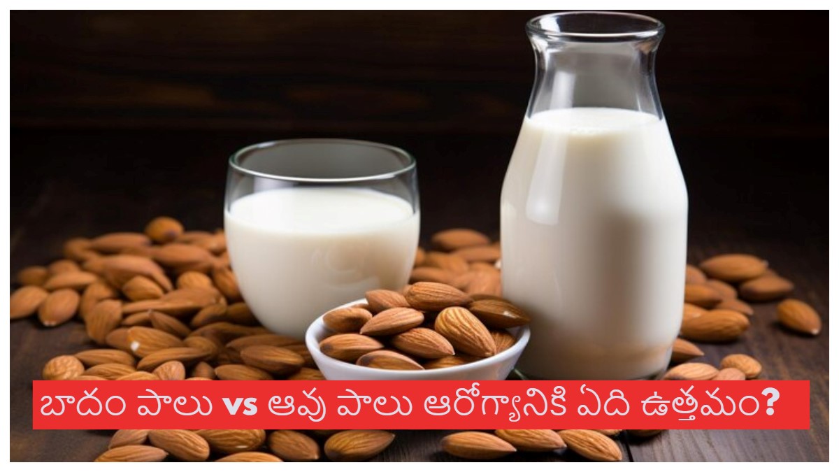 బాదం పాలు vs ఆవు పాలు ఈ రెండింటిలో ఏది ఎక్కువ ఆరోగ్యకరం? త్రాగడానికి